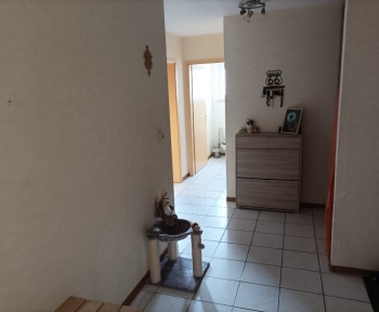 Location Appartement 4 pièces Soultz-sous-Forêts (67250) - SEMI RDC