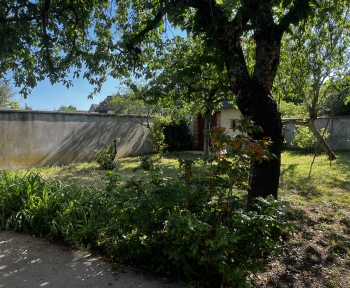 Location Maison avec jardin 4 pièces Romorantin-Lanthenay (41200) - SPACIEUSE